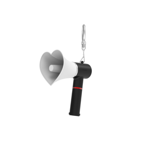 (ONE) THE BOYZ - OFFICIAL LIGHT KEY RING