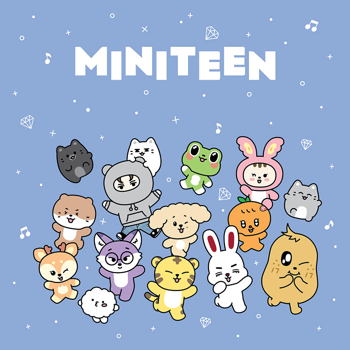 (ONE) SEVENTEEN Pouch