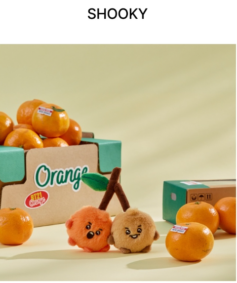 (ONE) BT21 - Baby Plush Orange Party