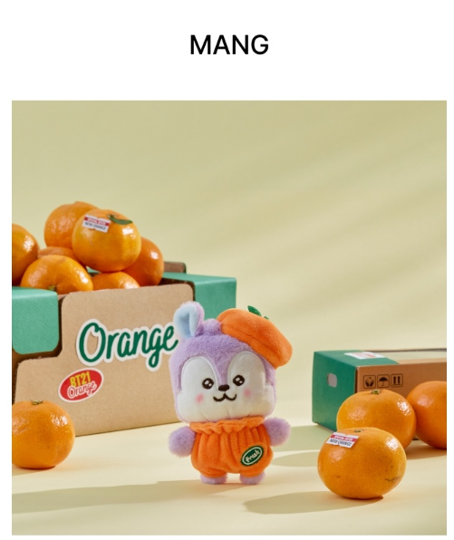 (ONE) BT21 - Baby Plush Orange Party