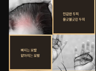 واحد - إيه شامبو لتساقط الشعر وتقويه وتنظيف فروه الراس شاهد نشره | (ONE) ihee - Lee Hee Enhancing Hair Loss Shampoo 400ml