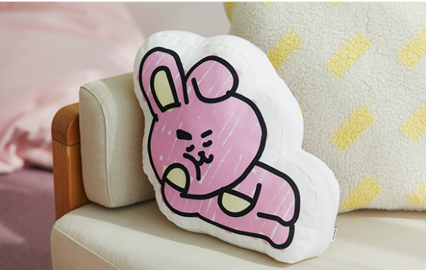 (ONE) BT21 Line Friends Home Flat Cushion