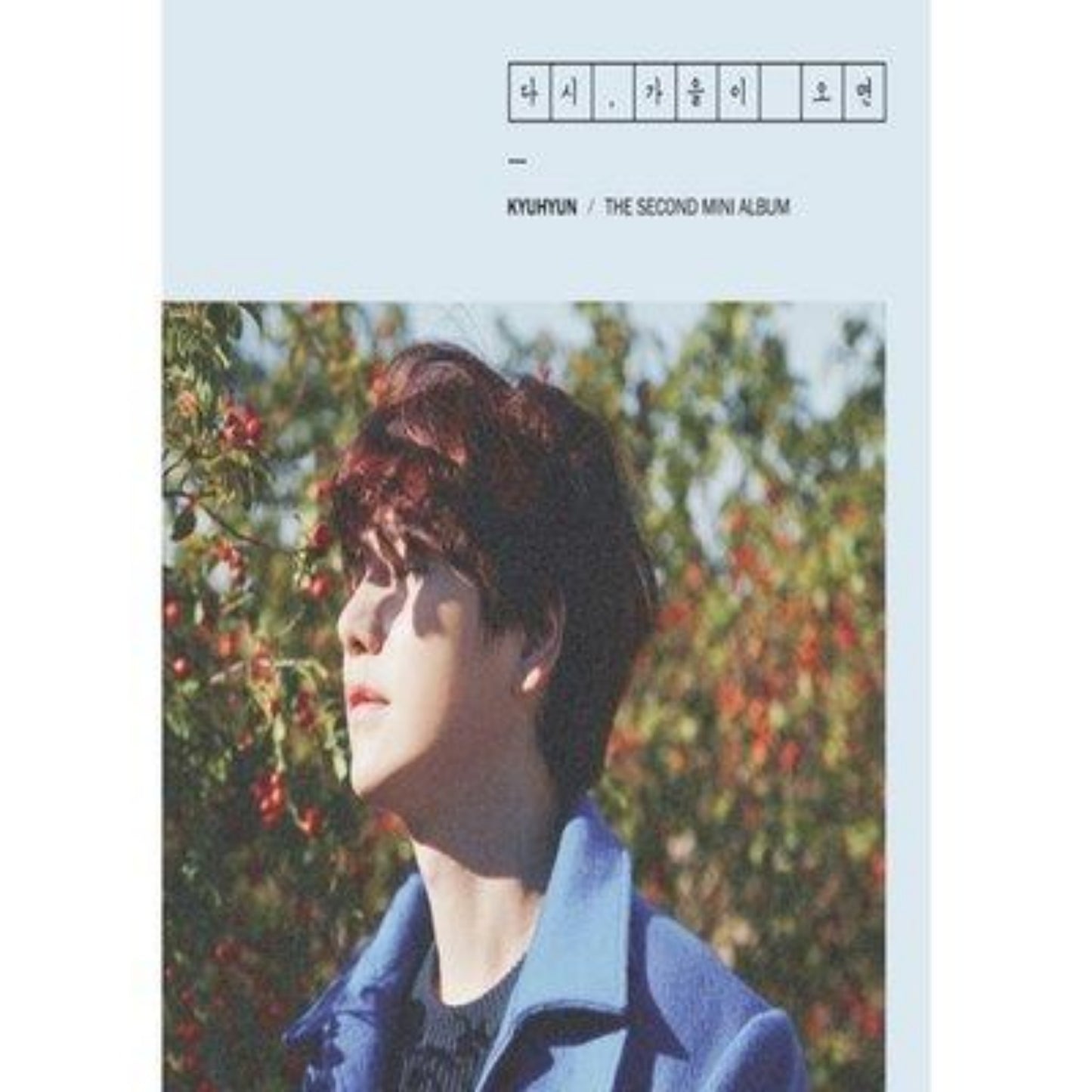 (One) Super Junior - KyuHyun 2nd mini album : AND AUTUMN AGAIN