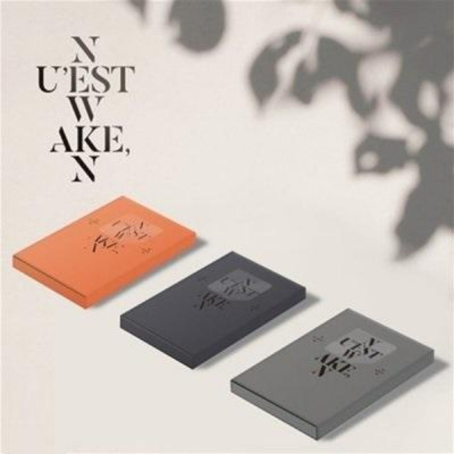سيت نيست -ووك ان | (SET) NU'EST - WAKE,N (Kihno Edition)