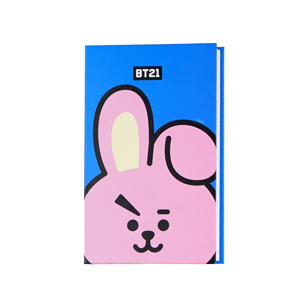 BT21 Face Diary مذكره وجوه شخصيات بي تي اس تصميم ثاني اختار شخصيتك