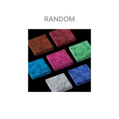 [ENHYPEN|انهايبن] (ONE)  ENHYPEN - THE SIN : VANISH (FUGITIVES Ver.) (Random)