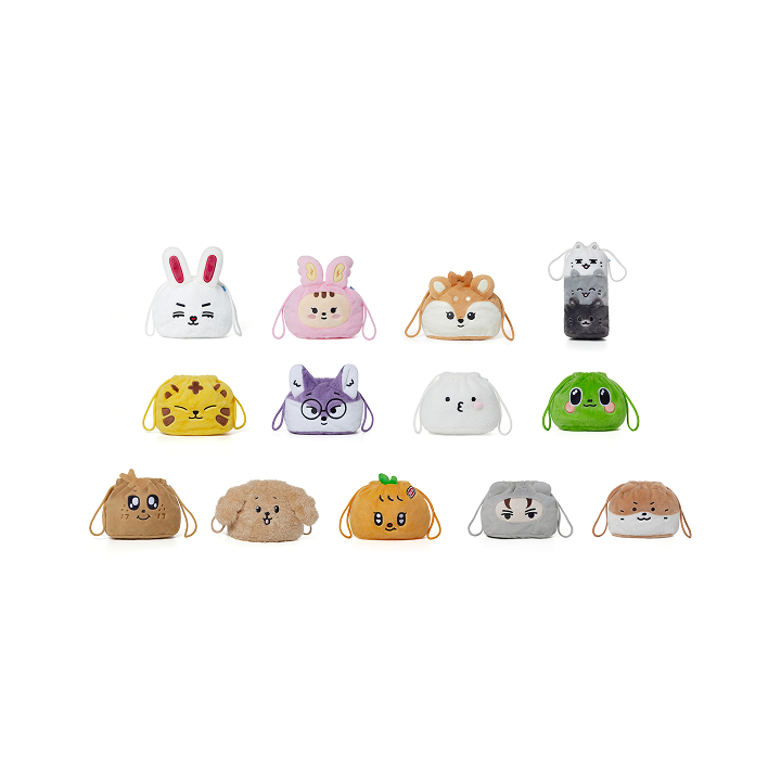 (ONE) SEVENTEEN Pouch