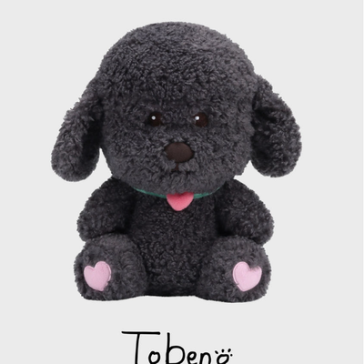 [EXO|أكسو] (ONE) EXO - Chanyeol CHANYEOL 2024 LIVE TOUR cityscape City-scape 40CM DOLL TOBEN