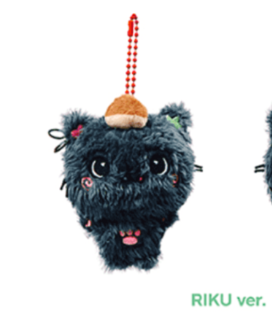 (ONE) NCT WISH - POCKET WISH DOLL