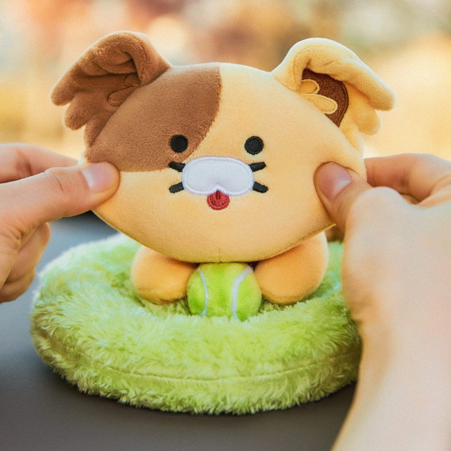 (ONE) KAKAO FRIENDS Gaechunsik_Chonsik