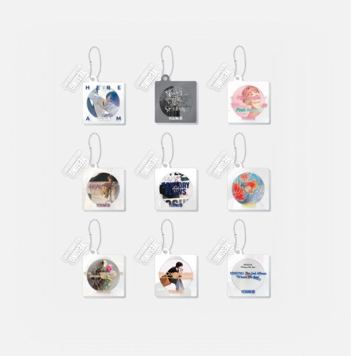 [YESUNG|ييسونغ] {Kpop} (One) YESUNG - Random Album Keyring (1 of 9, Rotating CD-Shaped Acrylic) (10th Anniversary Tour) | ييسونغ - ميدالية ألبوم عشوائية (واحدة من 9)