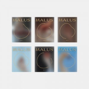 [ONEUS|وناوس] {Kpop} (One) ONEUS - The 8th Mini Album [MALUS] (EDEN Ver., Random 1 of 6 Covers) 15.2 x 19 cm | وناوس - الألبوم المصغّر الثامن [MALUS] (نسخة EDEN، غلاف عشوائي ١ من ٦) ١٥٫٢ × ١٩ سم