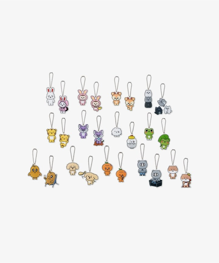 [Seventeen|سفنتين] (One) SEVENTEEN - Lucky Draw Acrylic Keyring (Random 1 Piece, 3.7 x 3.9 cm – 6.3 x 6.2 cm) | سفنتين - ميدالية مفاتيح أكريليك لاكي درو (قطعة عشوائية واحدة)