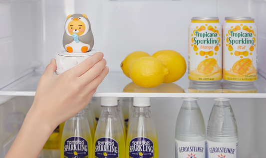 (ONE) KAKAO FRIENDS Refrigerator Deodorizer_Ryan