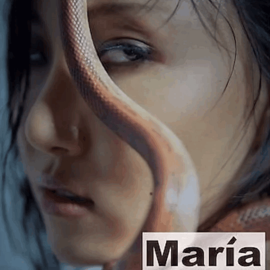(One)[Random Ver.]  HwaSa _Mamamoo -  1st Mini Album: Maria فرقه مامو والبومها جديد