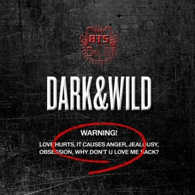   (One) BTS -  the 1st album, DARK WILD