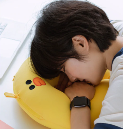 واحد _مخده عنق لشخصيات لاين فريند  l (ONE) Line Friends - Sally 2-in-1 Beads Neck Cushion